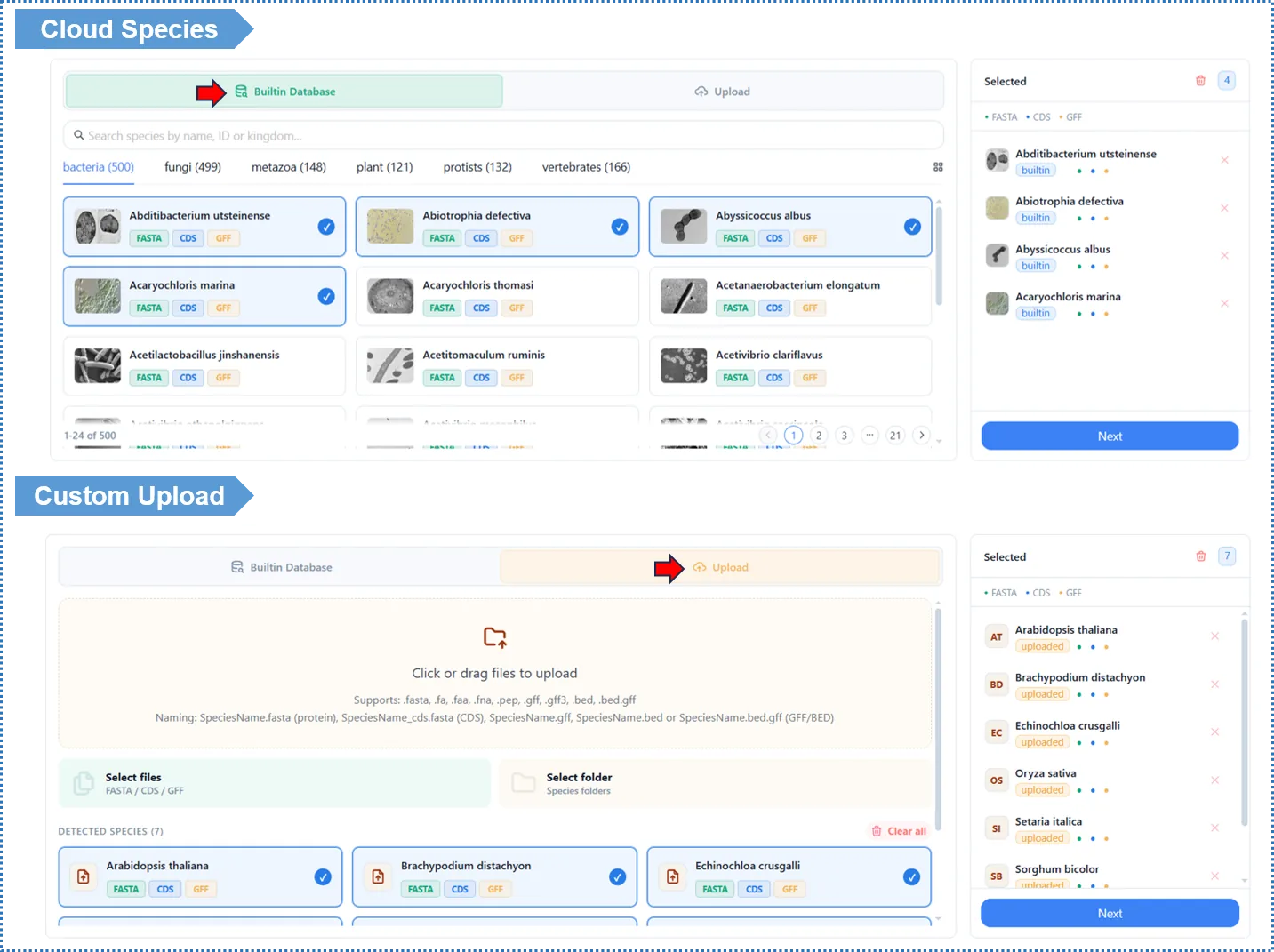 Cloud_Species_Custom_Upload