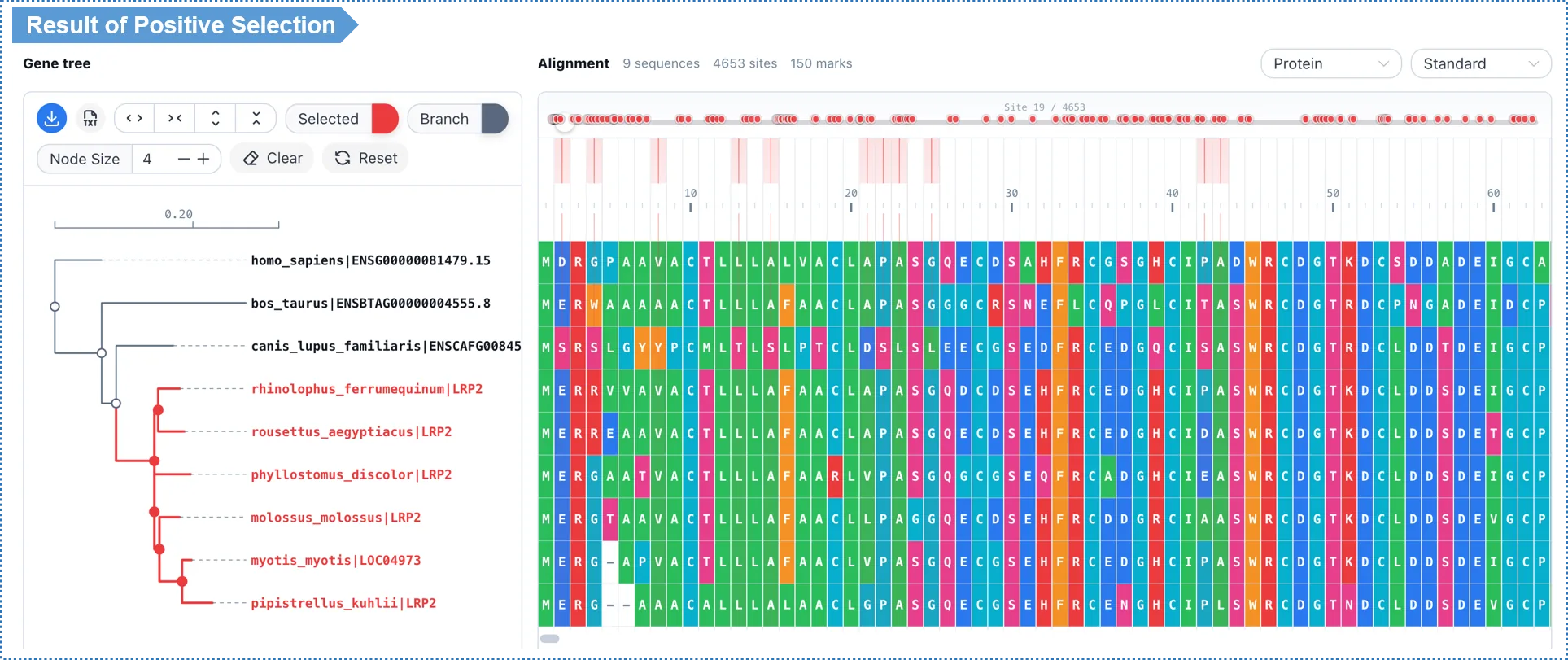 Result_of_Positive_Selection